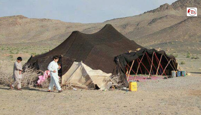 بجار