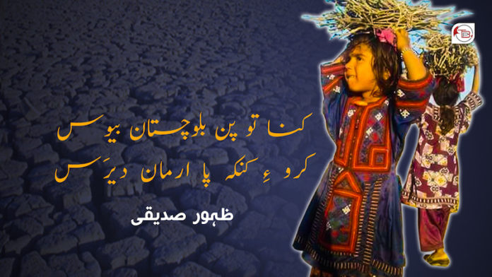ظہور صدیقی