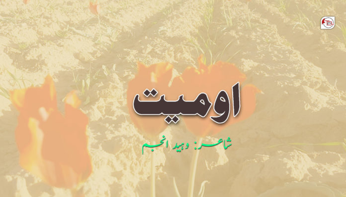 وہید انجم