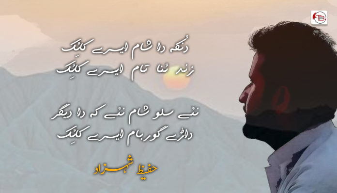 حفیظ شہزاد