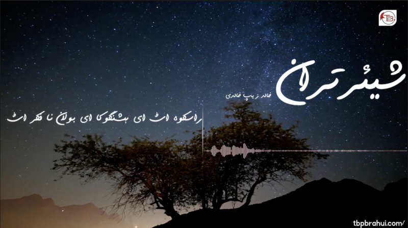 شیئر تران: قاضی نا ترندی اٹ ای گل خان نا فکر اٹ – خالد زیب خالدی