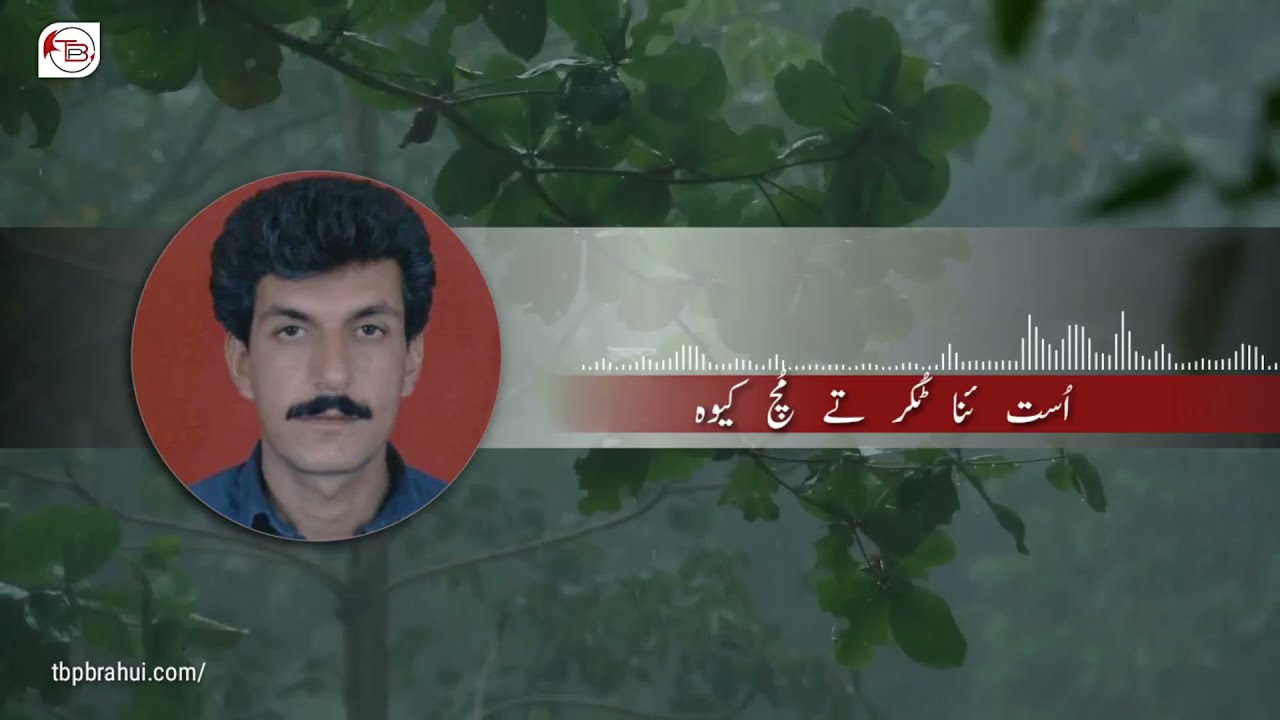 شیئر تران: گٹ اٹ اُست ئنا ٹکر تے مچ کیوا – کفایت کرار
