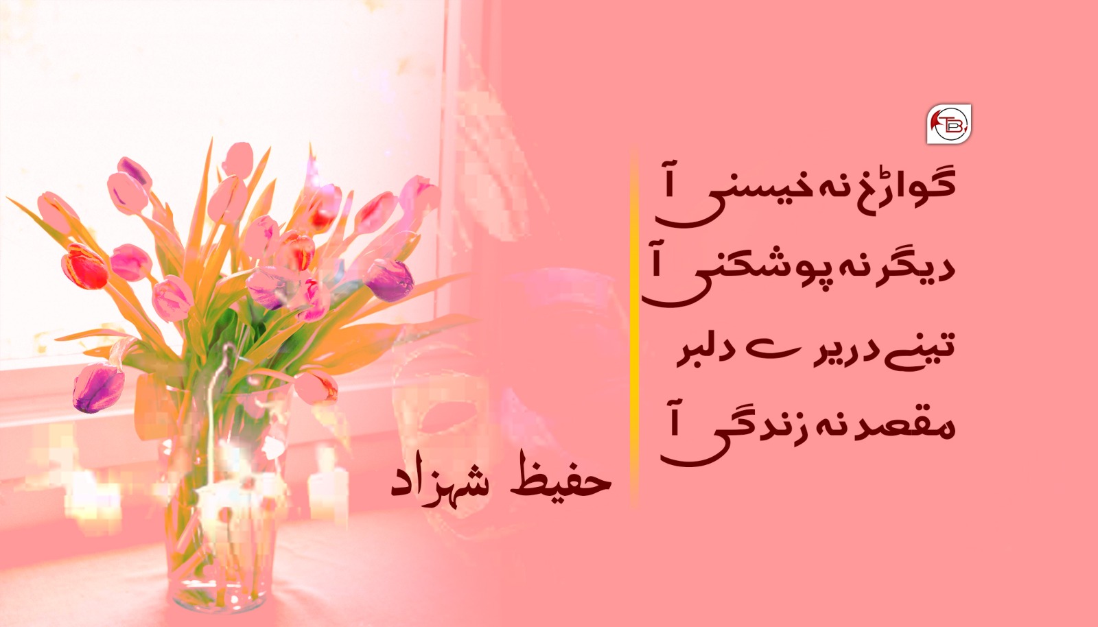 گواڑخ نا خیسنی | شاعر: حفیظ شہزاد