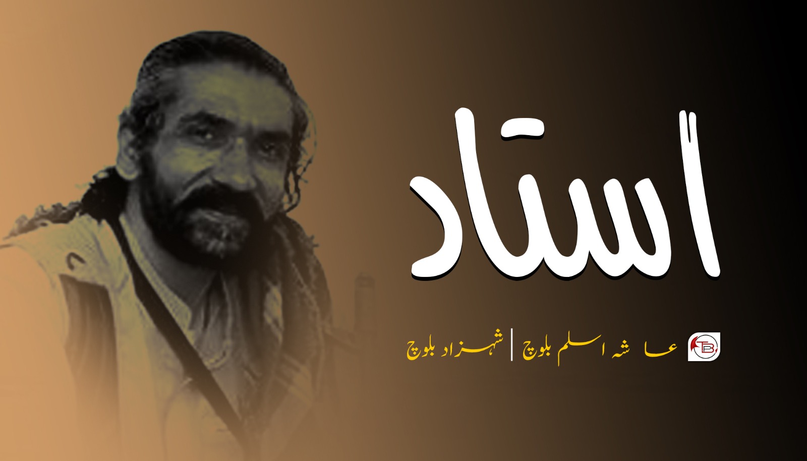 استاد | عاٸشہ اسلم – شہزاد بلوچ