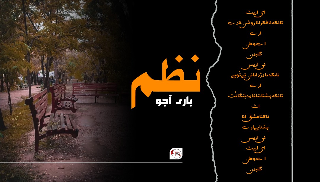 نظم – باری آجو