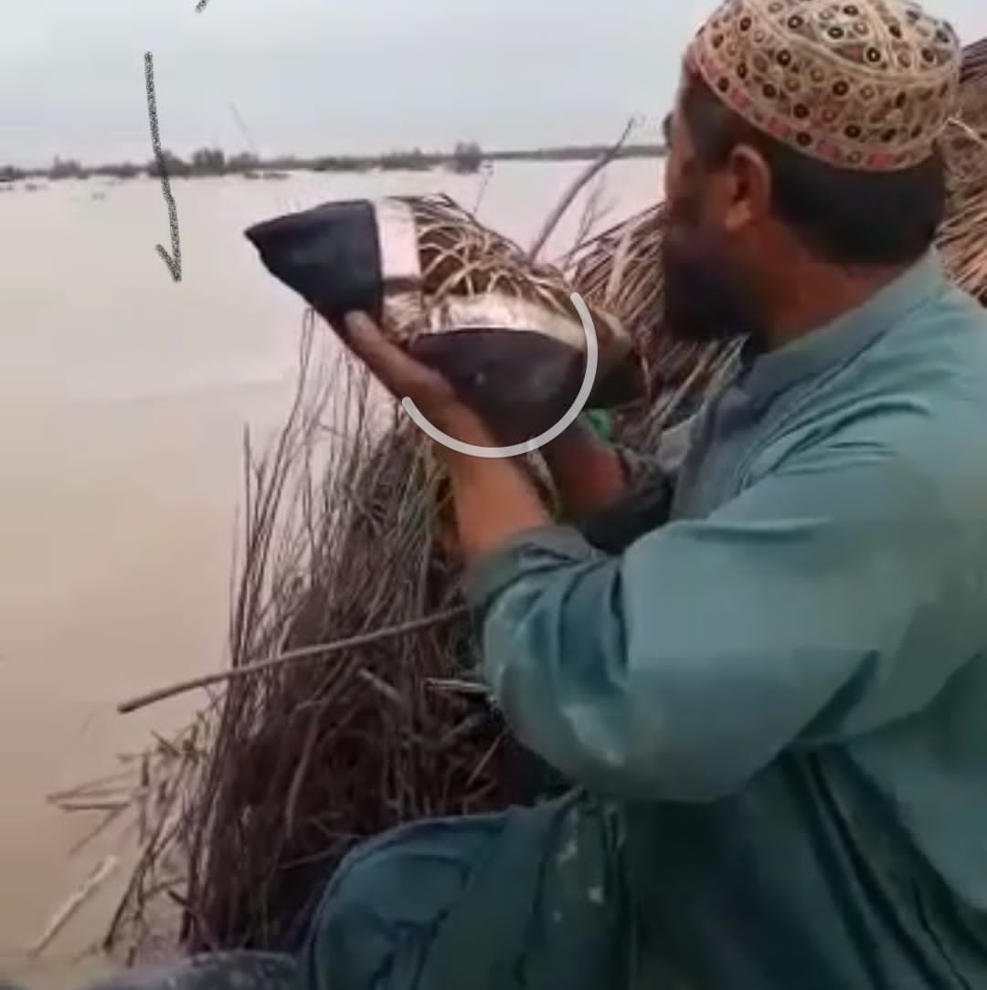 لسبیلہ ٹی 450بندغ نوکاپ نا دیر ئٹی گٹ