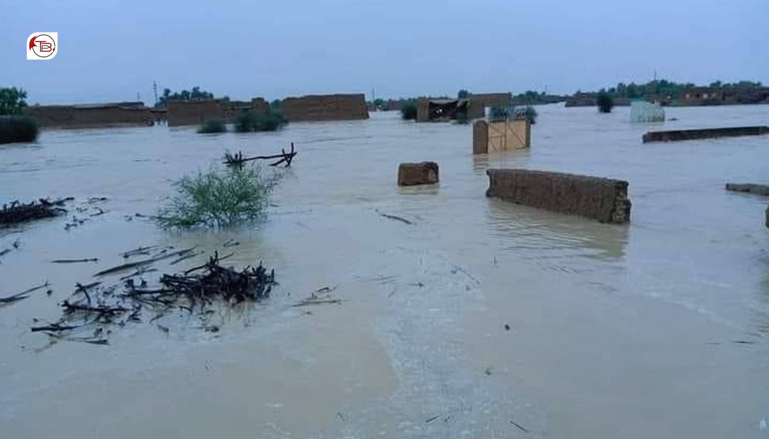 ڈیرہ مراد جمالی ٹی نوکاپی دیر نا حالیت برجاء