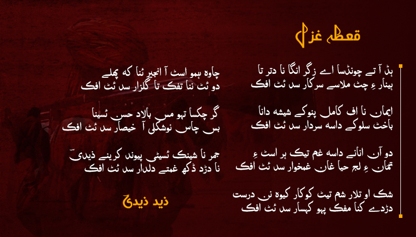 قعطہ غزل – ذید ذیدی