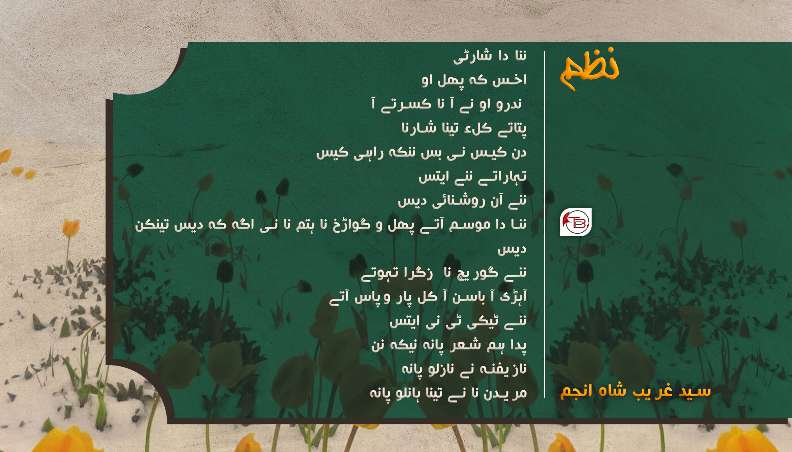نظم | غریب شاہ انجم