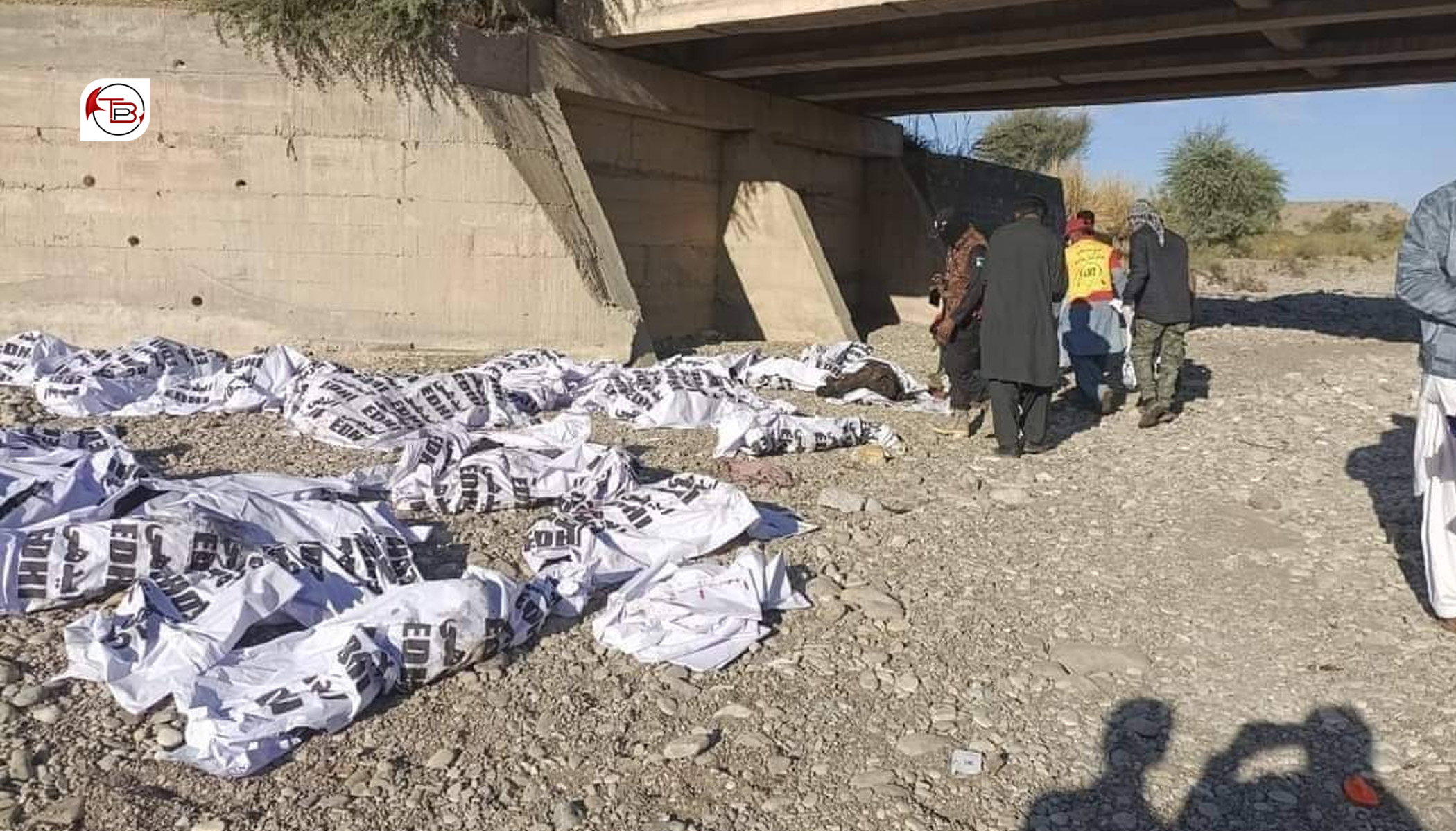 بیلہ: بیم بش کروک شکست ئٹ 39 بندغ کسکر
