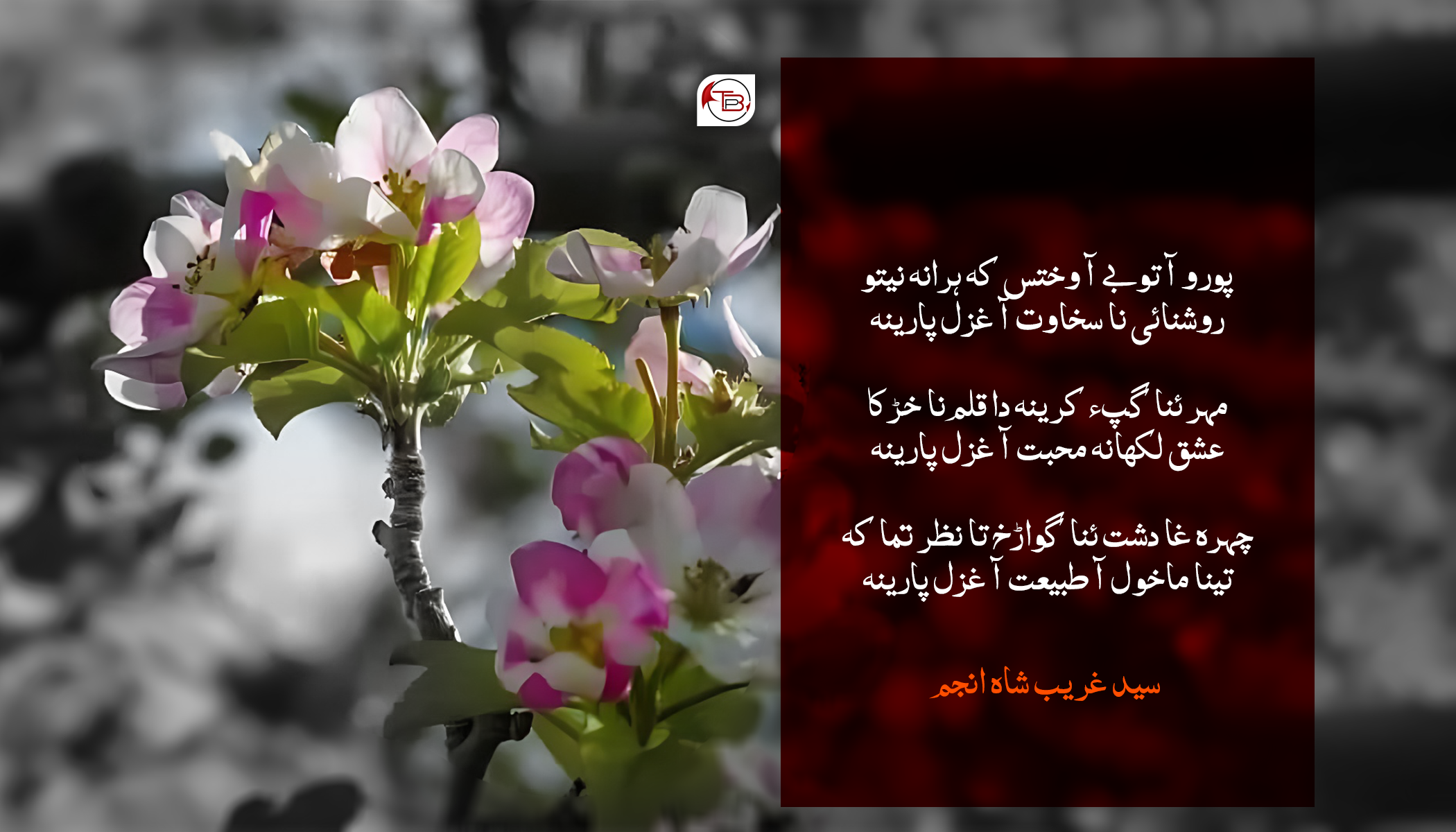 محبت آ غزل پارینہ – سید غریب شاہ انجم
