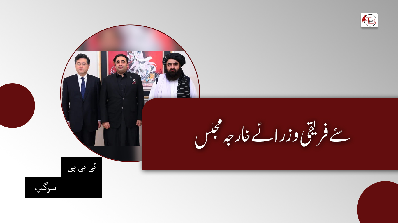 سئے فریقی وزرائے خارجہ مجلس – ٹی بی پی سرگپ