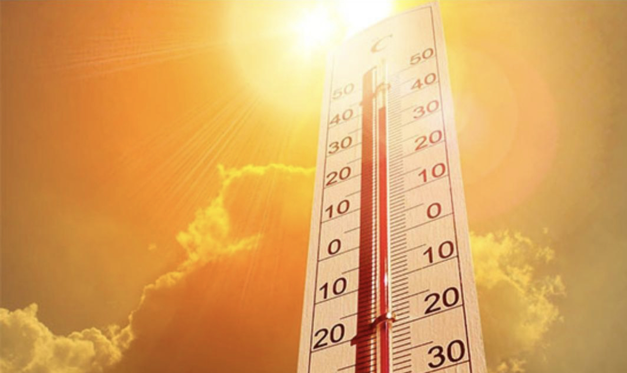 سبی: باسُنی آن اسہ بندغ اس بیران، 12 اسپتال ئٹ داخل