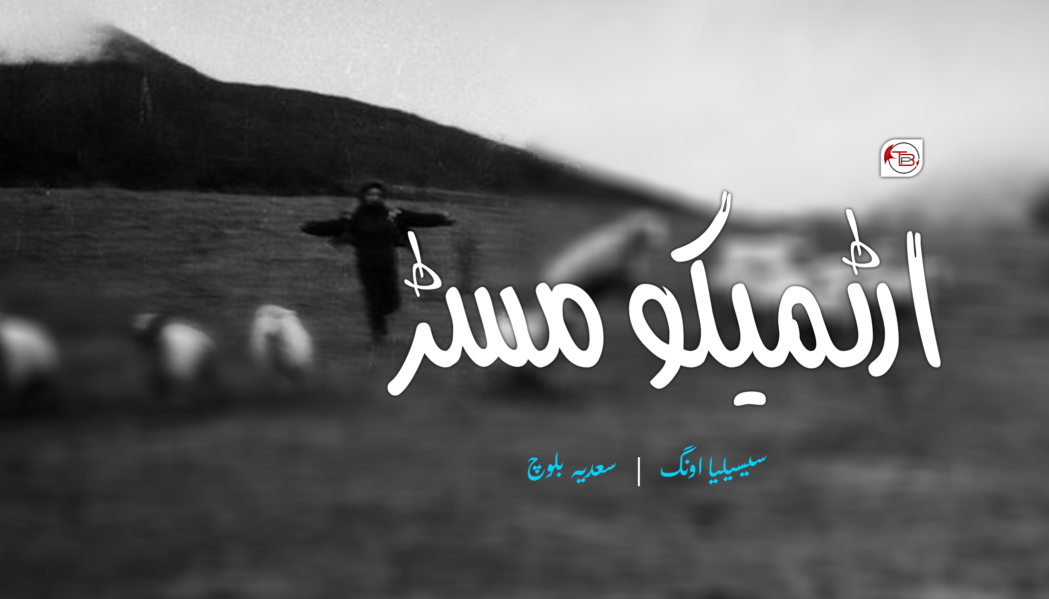 ارٹمیکو مسڑ | سیسیلیا اونگ – سعدیہ بلوچ