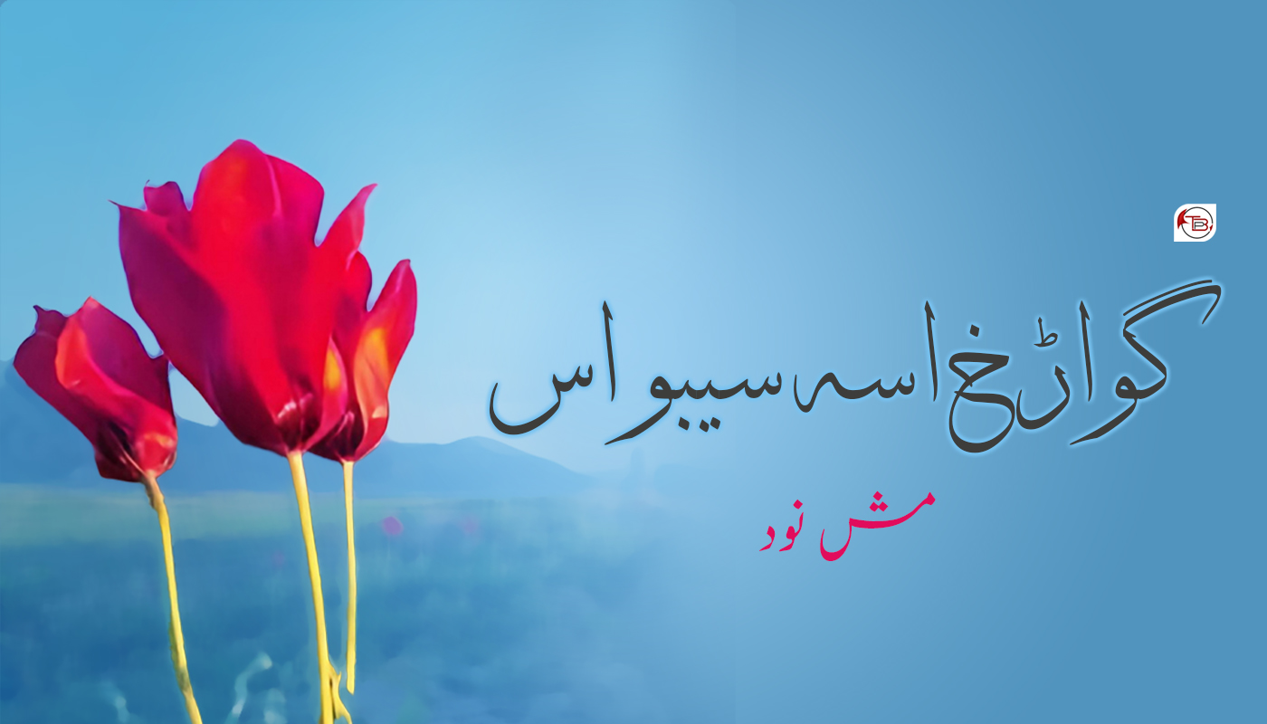 گواڑخ اسہ سیبو اس – مش نود
